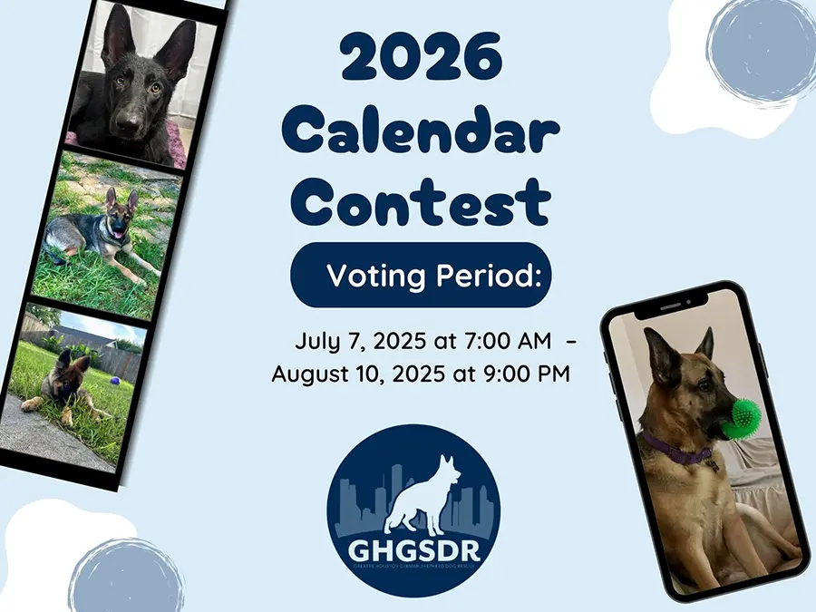 2026 Calendar Contest